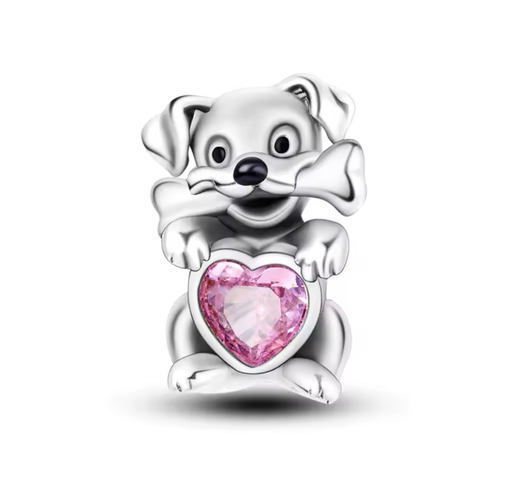 Charm Dog